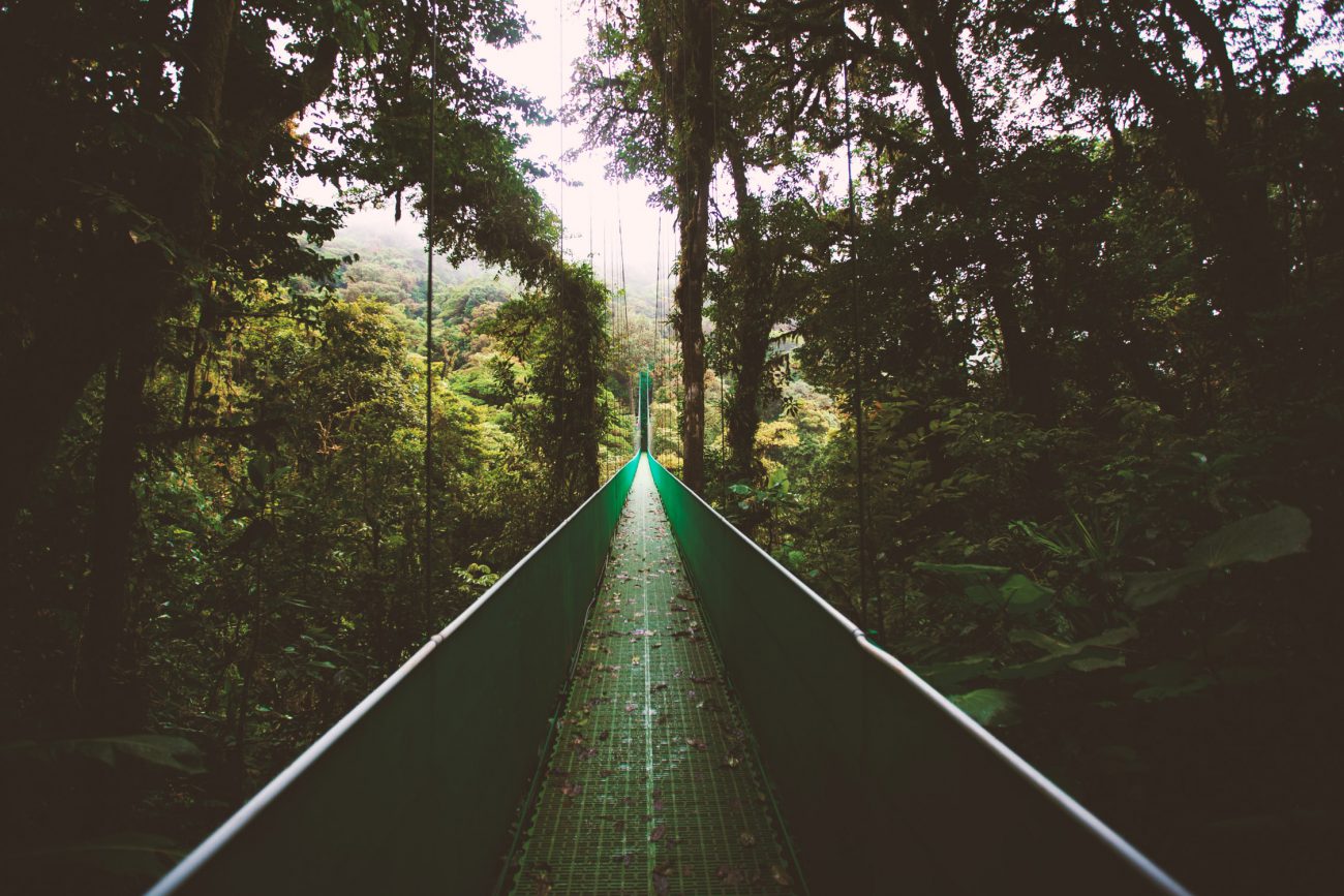 Monteverde